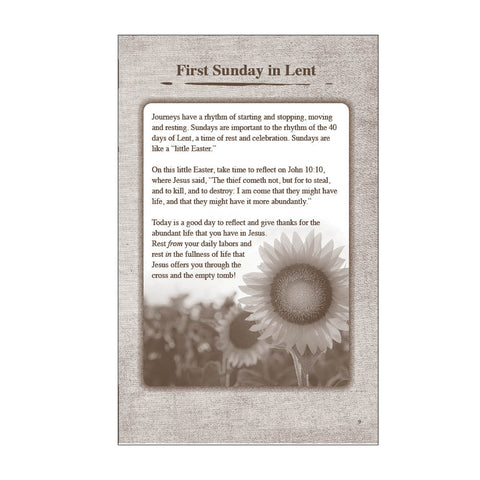 KJV Prayer Journal - In His Steps