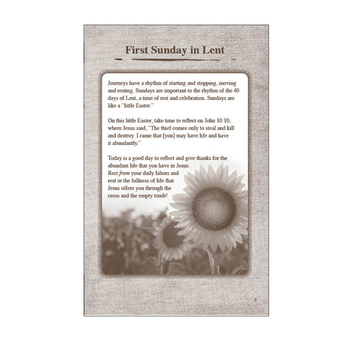 Prayer Journal - In His Steps